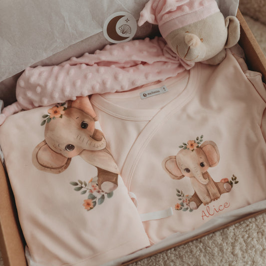 Baby Box Premium - Primavera/Verão